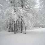 Alpesi faház Mauselaine *