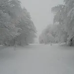 Alpesi faház Mauselaine