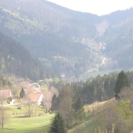 Mauselaine * Xonrupt-Longemer