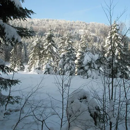 Mauselaine Xonrupt-Longemer