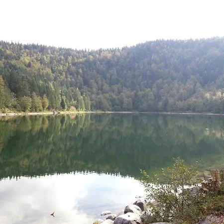 Alpstuga Mauselaine Xonrupt-Longemer