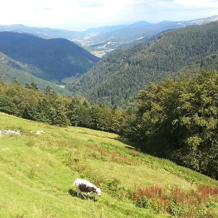 Mauselaine * Xonrupt-Longemer