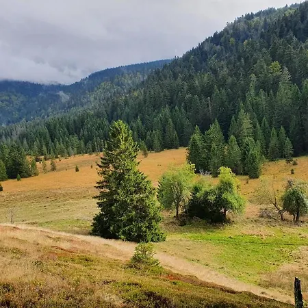 Alpstuga Mauselaine *