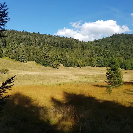 Mauselaine Alpstuga Xonrupt-Longemer