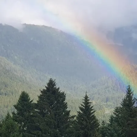 Mauselaine * Xonrupt-Longemer