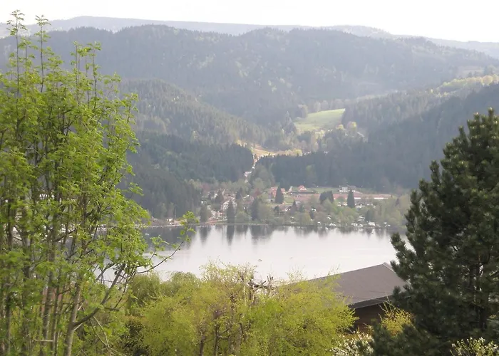 Mauselaine Xonrupt-Longemer