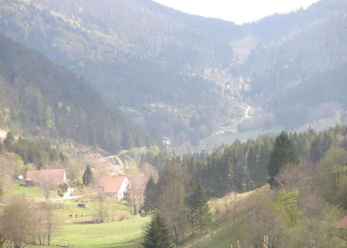 Mauselaine * Xonrupt-Longemer