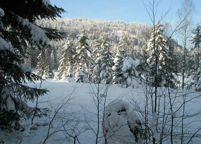 Mauselaine Xonrupt-Longemer