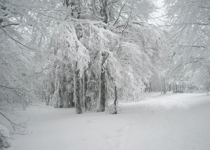 Alpstuga Mauselaine *