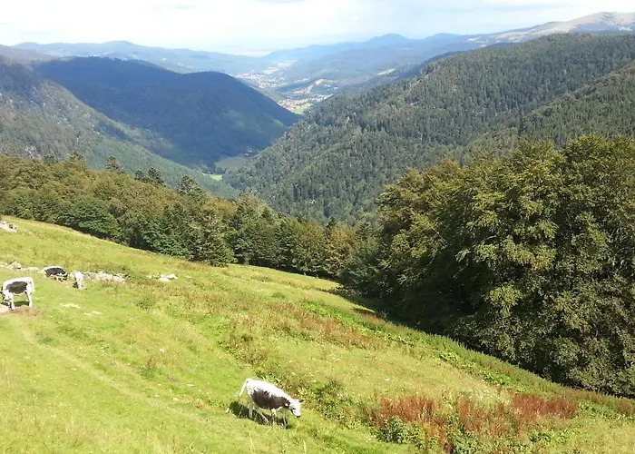 Mauselaine * Xonrupt-Longemer