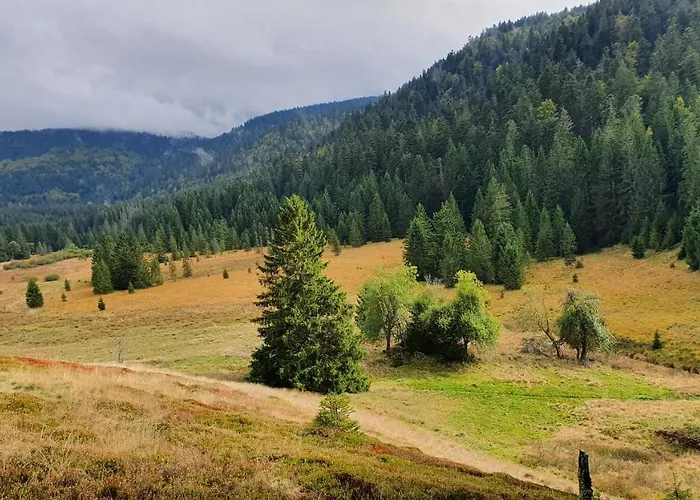 Alpstuga Mauselaine *