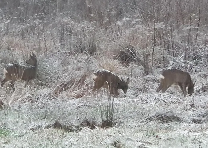 Horská chata Mauselaine