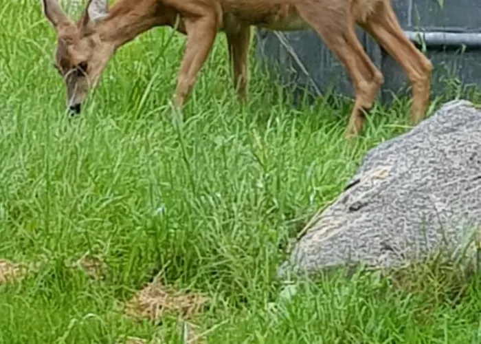 Horská chata Mauselaine Xonrupt-Longemer
