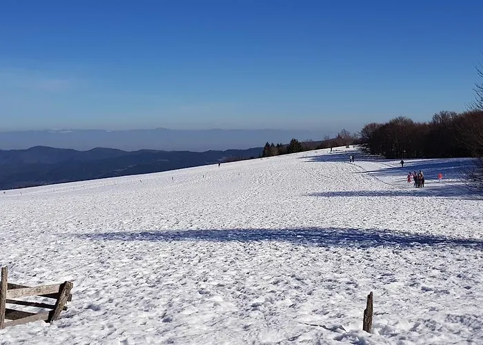 Mauselaine Xonrupt-Longemer