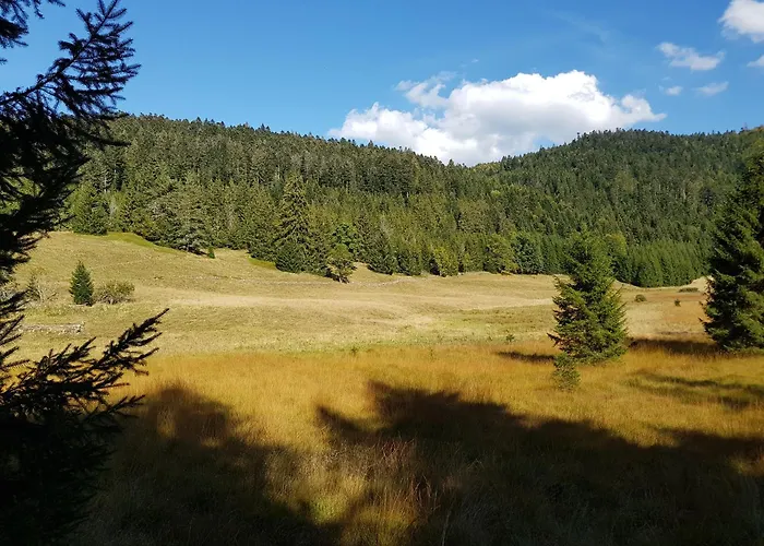 Mauselaine Alpstuga Xonrupt-Longemer