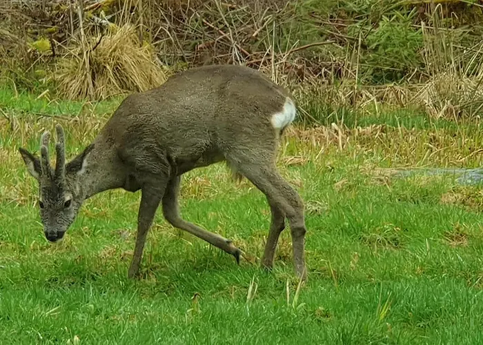 Horská chata Mauselaine Xonrupt-Longemer