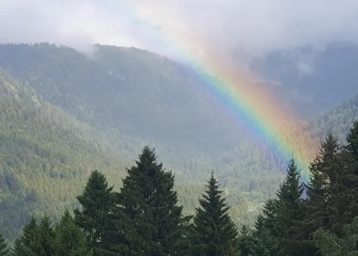 Mauselaine * Xonrupt-Longemer